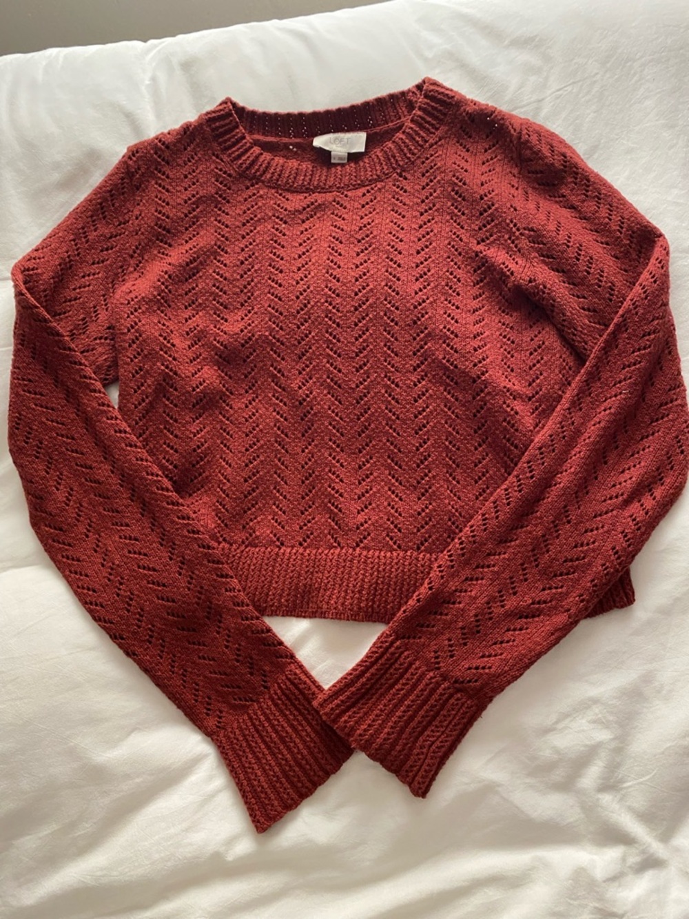 LOFT Open-Knit Rust Orange Crewneck Cotton Sweater Size Small